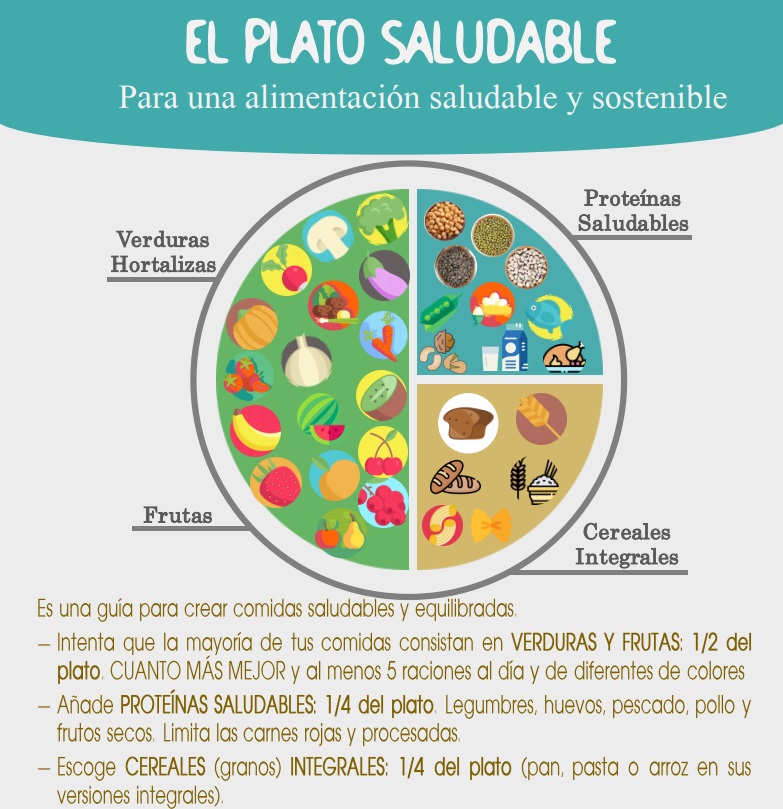 EL PLATO SALUDABLE