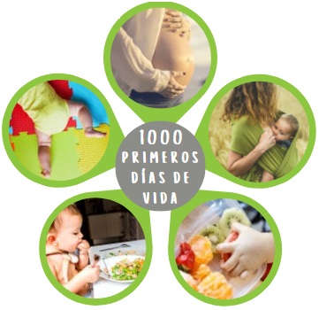 1000 PRIMEROS DÍAS DE VIDA