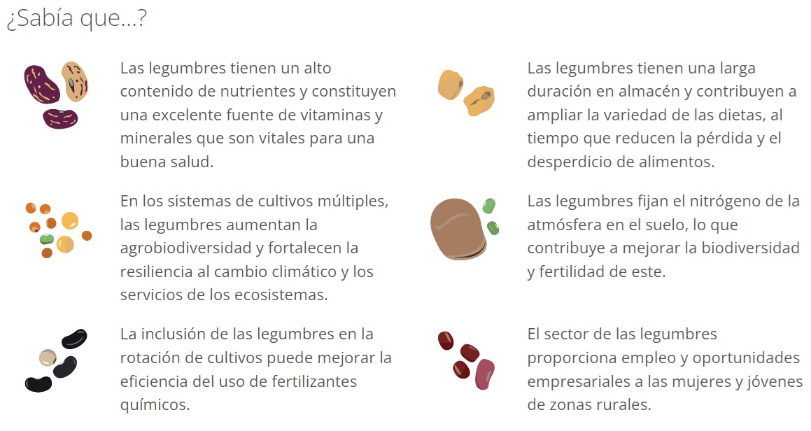 CURIOSIDADES SOBRE LAS LEGUMBRES